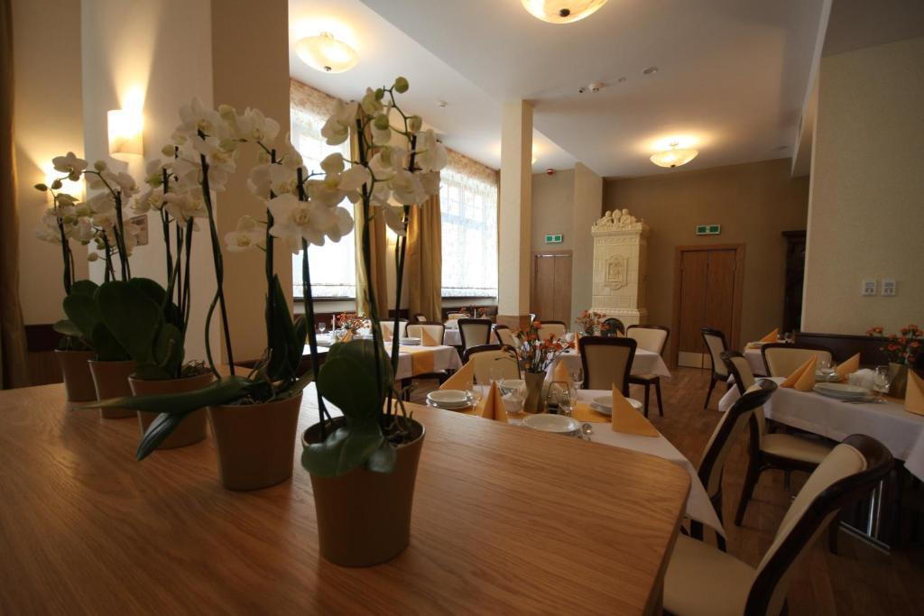 Hotel Vabank Golub-Dobrzyń Esterno foto